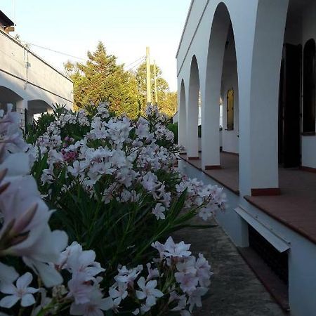 Il Lentisco Apartamento Marina di Mancaversa Exterior foto